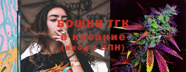 мдма Ельня