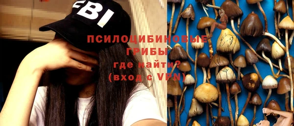 мдма Ельня